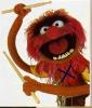 TheDanimal's Avatar